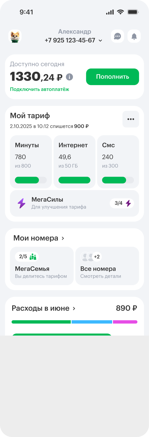 Изображение приложения на экране телефона